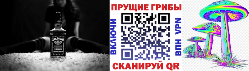 наркошоп  Куса  Галлюциногенные грибы Cubensis 