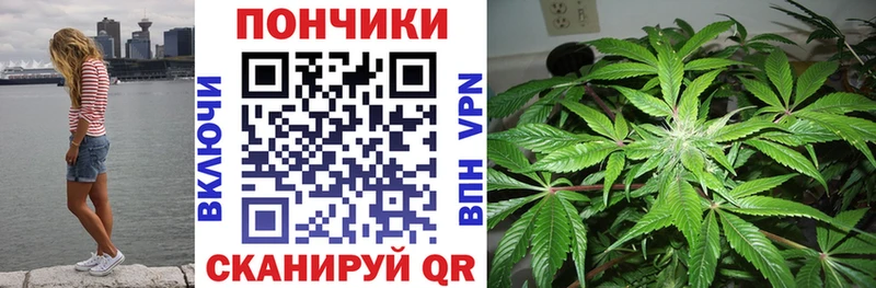 Шишки марихуана семена  это состав  Куса  что такое  